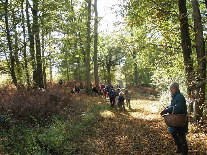 2008 10 Myco domaine de La Claye 15